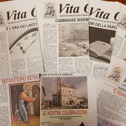vita olgiatese